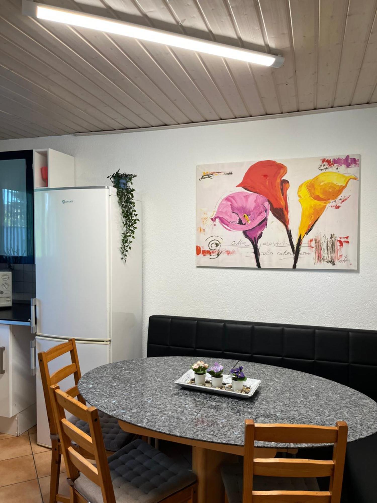 Familienfreundliches Ferienhaus Amara Mit Garten Und Terrasse - Friedrichshafen Am Bodensee エクステリア 写真